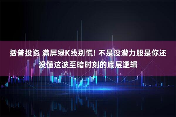 括普投资 满屏绿K线别慌! 不是没潜力股是你还没懂这波至暗时刻的底层逻辑